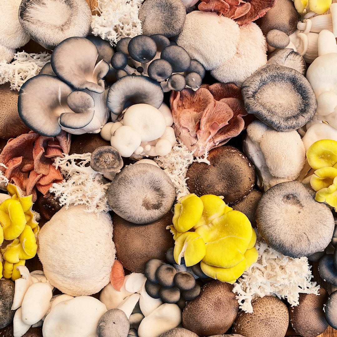 Mushroom Selection